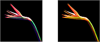 Green and yellow bird of paradise plant with a dark background