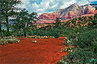 Red colored dirt in front of large red mountains and tall green trees