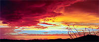 blue,red and yellow sky colors of a sunset in Arizona.
