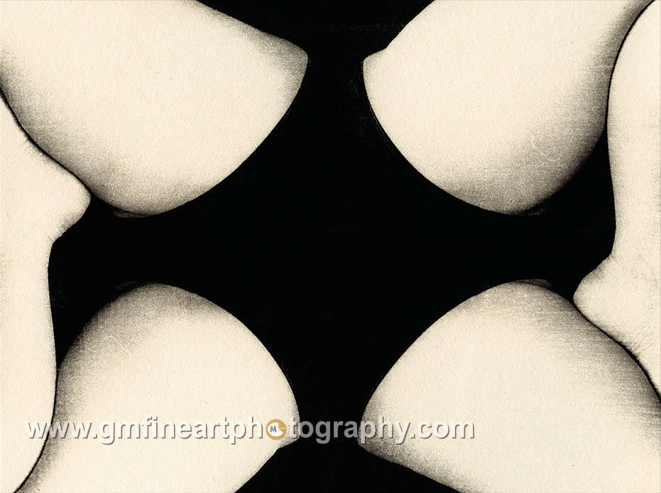 An abstract image of legs crossed with black panties joined together