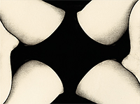 An abstract image of legs crossed with black panties joined together