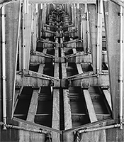 A concrete bridge resembling a spine of a human 