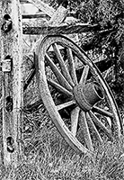 An old wagon wheel leaning against an old wooden fence.